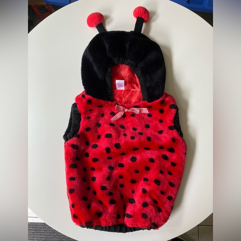 Ladybug Hooded Kids Costume Size 2T Toddler Halloween Costume Retro 2004 Y2K